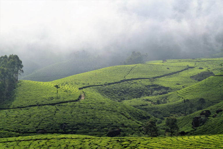 Kerala Nature Retreat Package