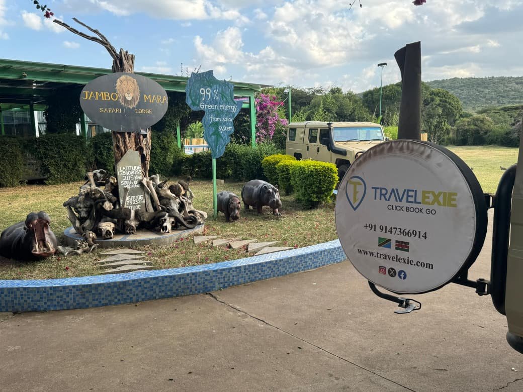 Travel Snapshot