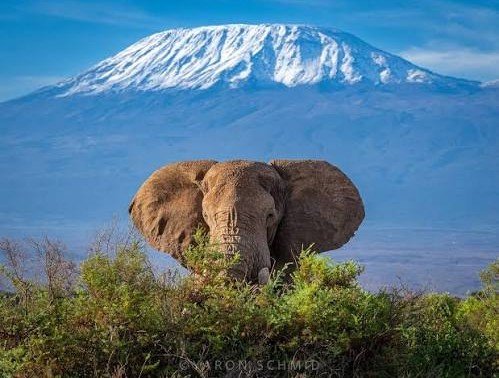Ultimate Kenya Safari: Masai Mara, Lake Nakuru & Lake Naivasha