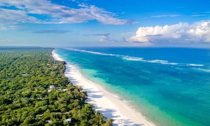 Kenya Safari & Diani Beach Escape