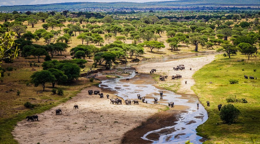 Kenya & Tanzania Safari Adventure