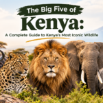 The Big Five of Kenya: A Complete Guide to Kenya’s Most Iconic Wildlife