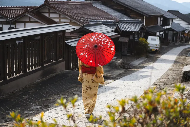 Japan Budget Explorer Package