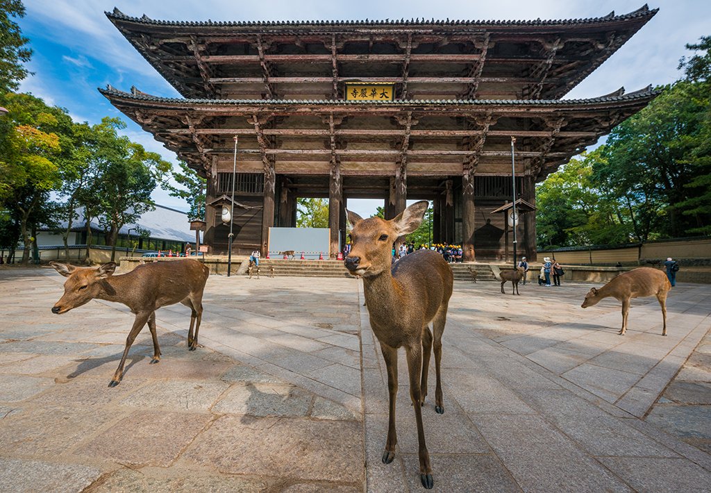 Nara Japan