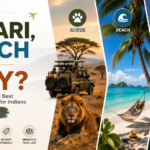 Safari, Beach or City? How to Choose the Best International Tour for Indians This Winter
