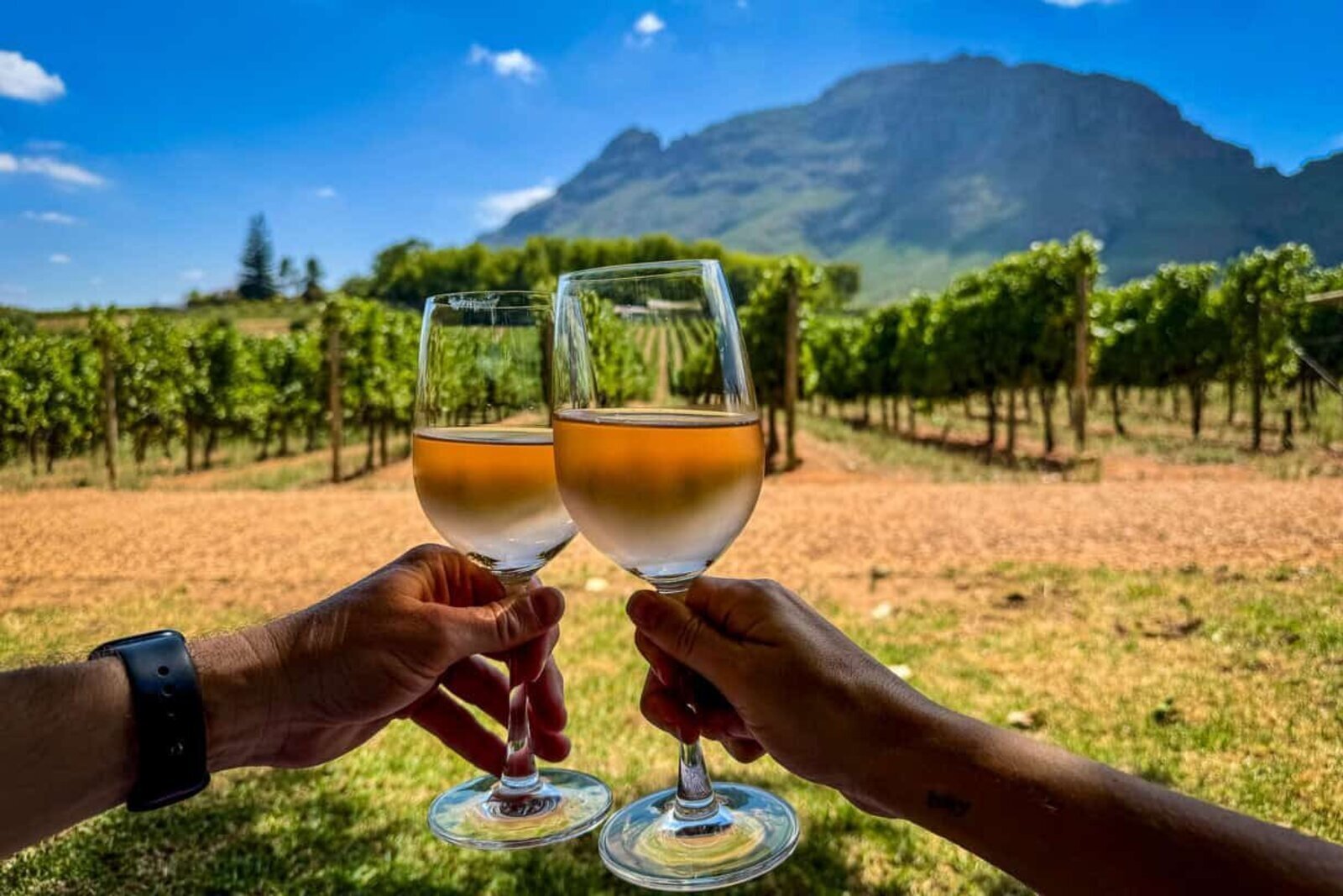 South African Winelands