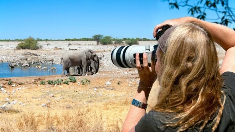 South Africa for Photographers: A Journey Through the Perfect Frame