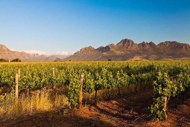 Winelands Escape: Slow, Intimate & Unforgettable