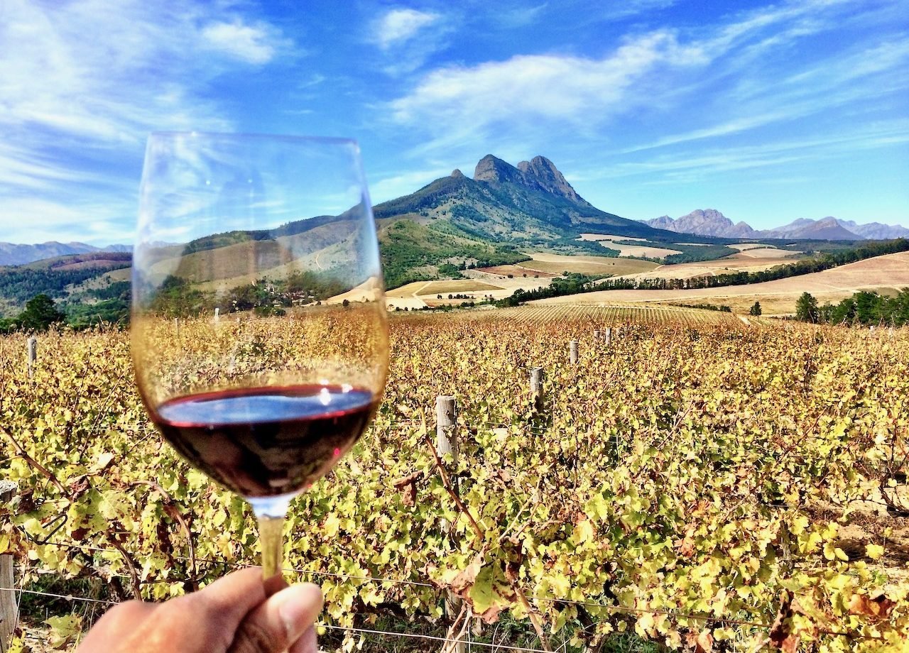 South African wine country