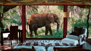 THE GIANT: ELEPHANT