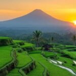 Ubud, Central Bali: Discover Green Rice Terraces, Art & Traditional Island Life